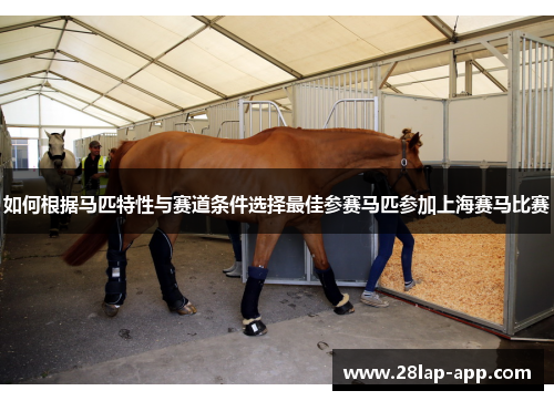 如何根据马匹特性与赛道条件选择最佳参赛马匹参加上海赛马比赛