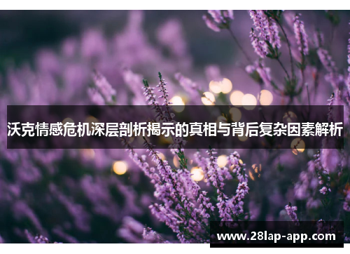 沃克情感危机深层剖析揭示的真相与背后复杂因素解析